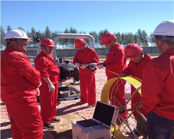 大慶石油天然氣管道檢測[九泰內(nèi)窺鏡]